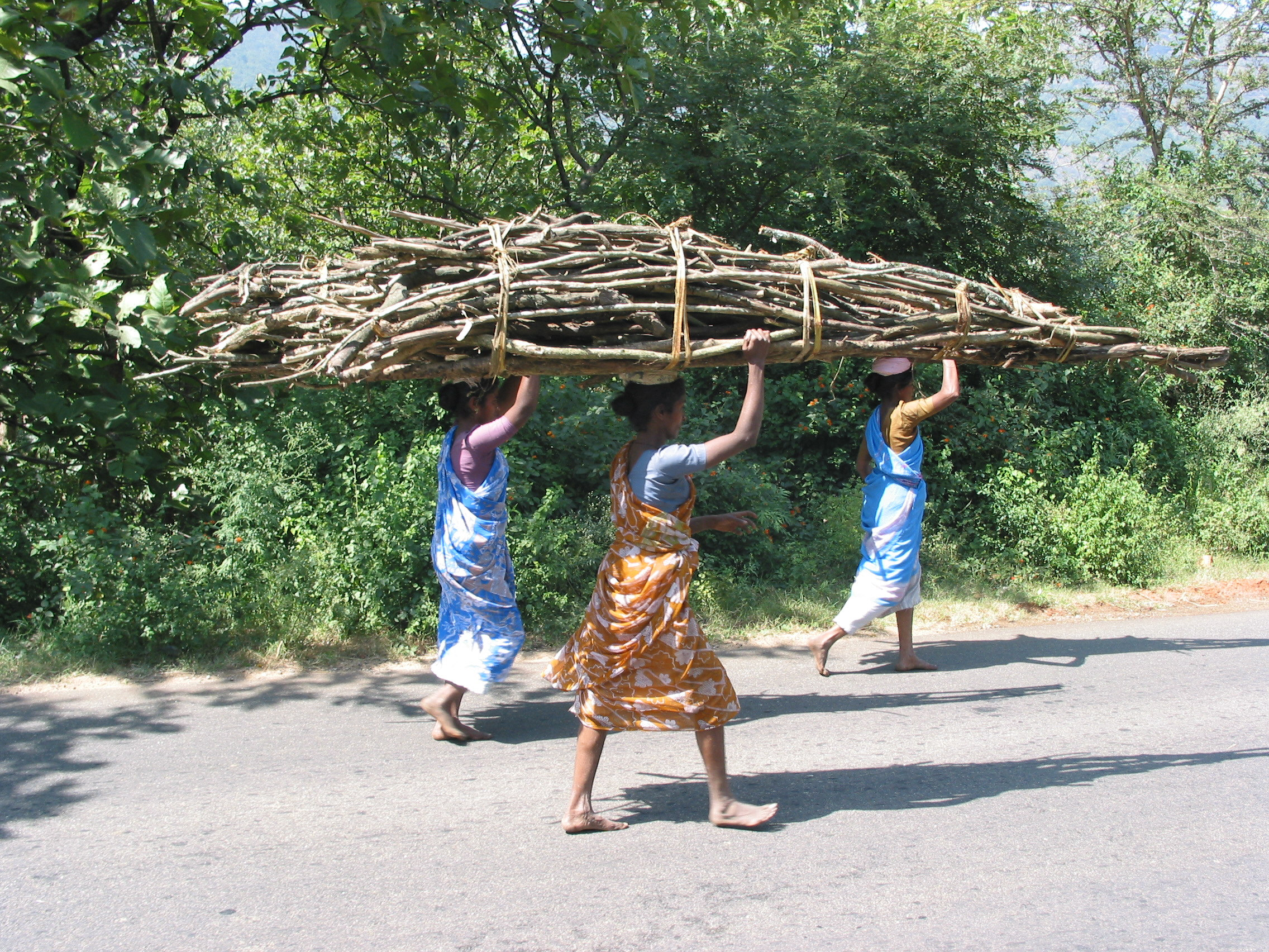 India Tamil nadu